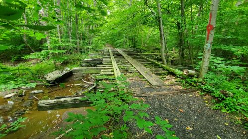 A weathered wooden bridge spans a small stream, surrounded by lush green trees and foliage in a forested area.