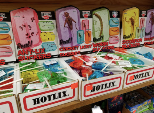 Colorful novelty lollipops featuring insects, displayed in boxes labeled "Hotlix" on a wooden shelf.
