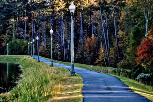 A serene pathway lined with lamp posts, surrounded by trees in autumn colors beside a calm body of water.