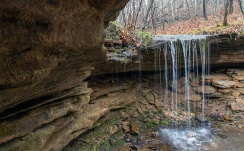 A small waterfall cascades over rocky terrain in a wooded area, surrounded by trees and fallen leaves.