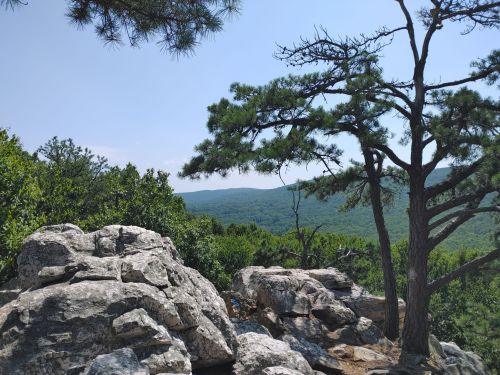 A rocky outcrop with pine trees overlooks a lush green valley under a clear blue sky.