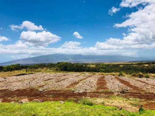 A scenic landscape featuring plowed fields, green vegetation, and a distant mountain under a blue sky with fluffy clouds.