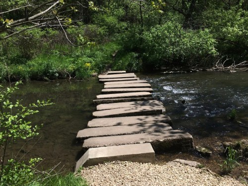 A stone pathway crosses a clear stream, surrounded by lush greenery and trees.
