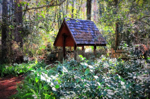 A small, rustic wooden structure with a sloped roof surrounded by lush greenery in a forested area.