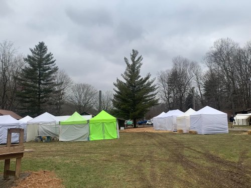A grassy area with several white and one bright green tent, surrounded by bare trees under a cloudy sky.