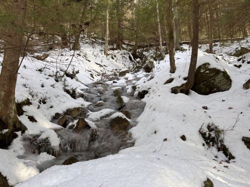 A snowy forest scene with a small stream flowing over rocks, surrounded by trees and a blanket of snow.