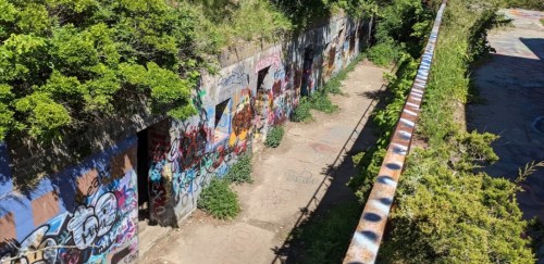 Overgrown pathway with graffiti-covered walls and greenery, showcasing urban decay and nature's reclamation.