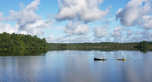Two kayakers paddle on a calm lake surrounded by lush greenery and fluffy clouds in a blue sky.