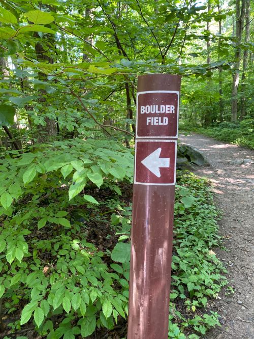 A brown trail sign indicating "BOULDER FIELD" with an arrow pointing left, surrounded by green foliage.
