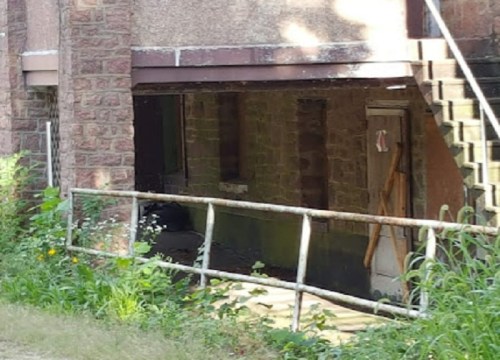 Abandoned building entrance with a wooden railing, overgrown plants, and a staircase in the background.
