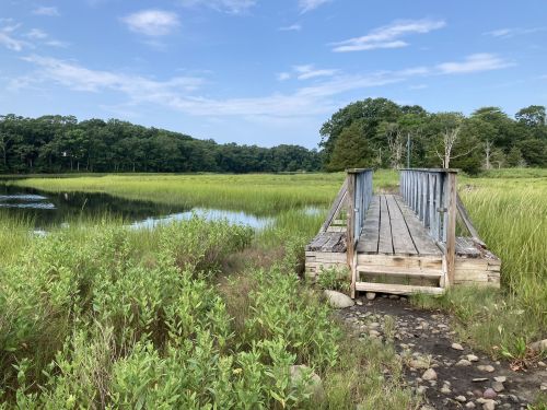 A wooden dock extends into a calm, green marsh with tall grasses and trees under a blue sky.