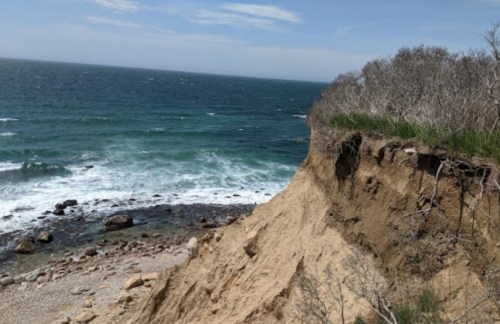 A coastal cliff with sparse vegetation overlooks a rocky beach and turbulent ocean waves under a clear blue sky.