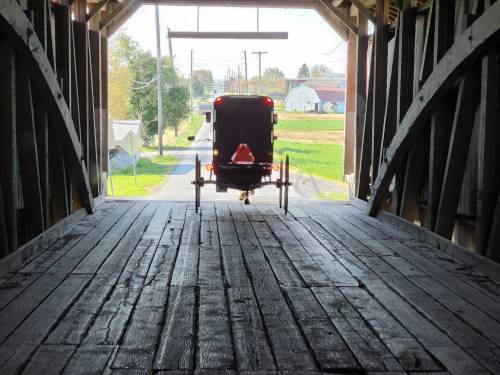 View from inside a covered bridge, showing a horse-drawn buggy exiting onto a rural road.