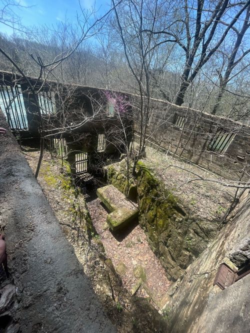 Abandoned stone structure surrounded by trees, with moss-covered steps leading down into a sunlit, overgrown area.