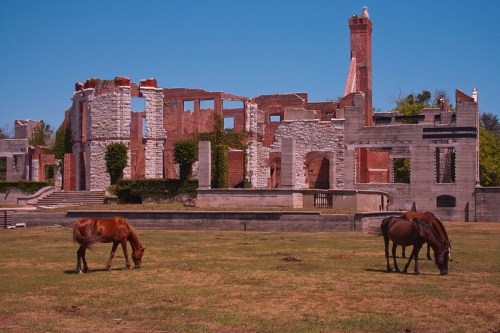 Two horses graze in front of the ruins of a historic building under a clear blue sky.