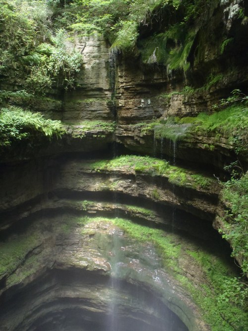 A deep, moss-covered canyon with cascading water and lush greenery surrounding the rocky walls.
