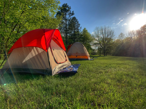 Two colorful tents set up on a grassy field, surrounded by trees under a bright blue sky and sunlight.
