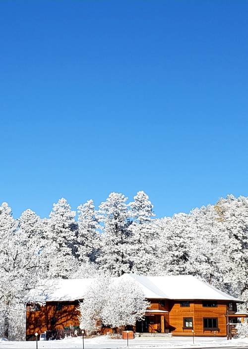 A wooden house surrounded by snow-covered trees under a clear blue sky.