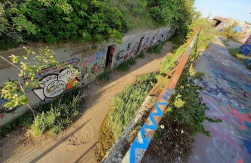 Overgrown path beside a graffiti-covered wall, with vibrant colors and greenery in a deserted area.