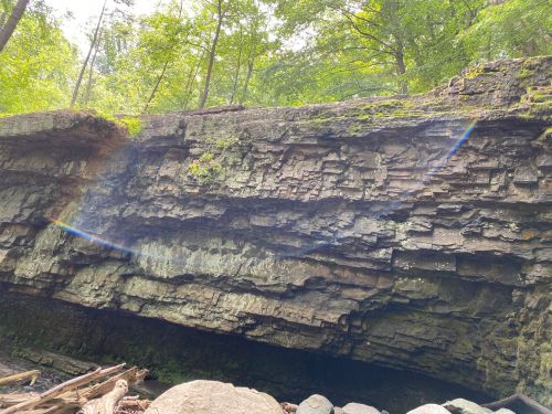 A rocky cliff with layered stone formations, surrounded by lush green trees and dappled sunlight.