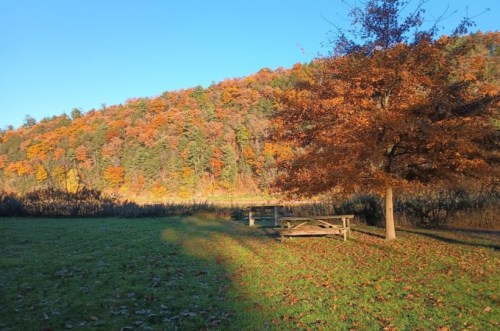 A vibrant autumn landscape with colorful trees and a wooden bench under a clear blue sky.