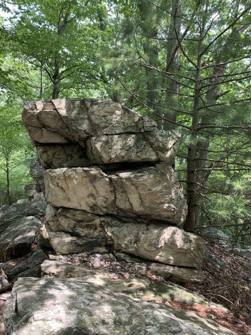 A large, stacked rock formation surrounded by lush green trees in a forested area.