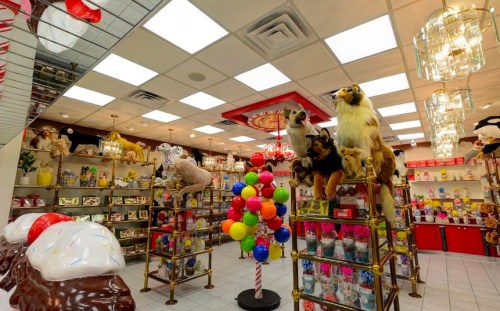 A colorful shop interior filled with plush animals, candy displays, and decorative lighting.