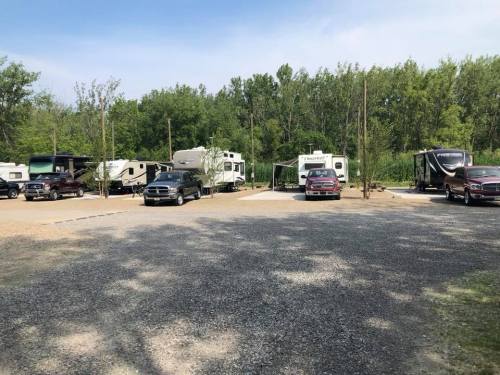 A gravel parking area with several RVs and trucks surrounded by trees and greenery.