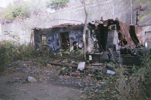A dilapidated building covered in graffiti, surrounded by overgrown vegetation and debris.