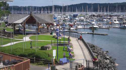 A marina with numerous boats docked, surrounded by green spaces and a walkway along the water.