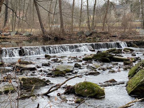 A serene stream flows over a small waterfall, surrounded by rocks and bare trees in a tranquil natural setting.