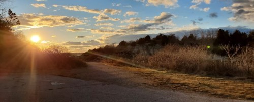 A serene landscape at sunset, with a path leading through grassy areas and trees under a colorful sky.