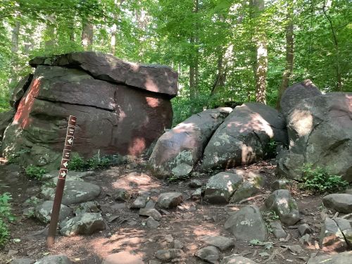 A forest scene featuring large rocks and a trail sign amidst lush green trees and underbrush.