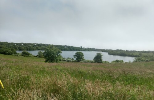 A serene landscape featuring a calm lake surrounded by lush greenery and distant hills under a cloudy sky.
