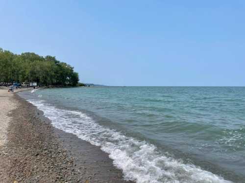 A serene beach scene with gentle waves lapping at the shore, surrounded by green trees under a clear blue sky.