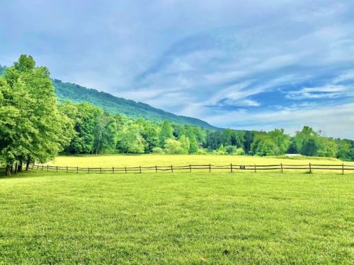 Lush green field with a wooden fence, surrounded by trees and mountains under a blue sky with wispy clouds.
