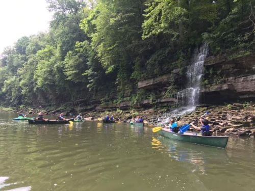 A group of people kayaking on a calm river near a rocky shore with a waterfall and lush green trees.