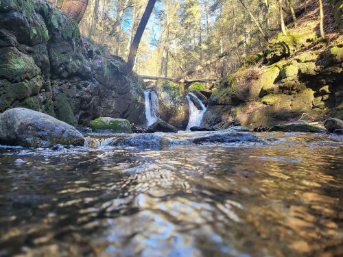 A serene stream flows over rocks, with small waterfalls surrounded by lush greenery and trees in a sunlit forest.