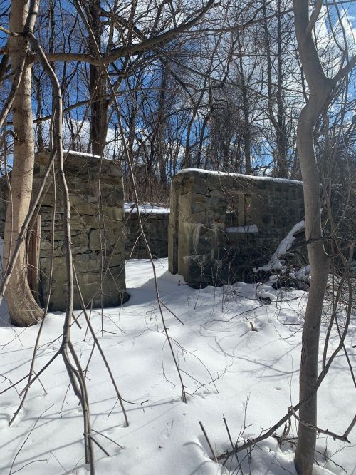 Snow-covered ruins of stone structures surrounded by bare trees and a bright blue sky.