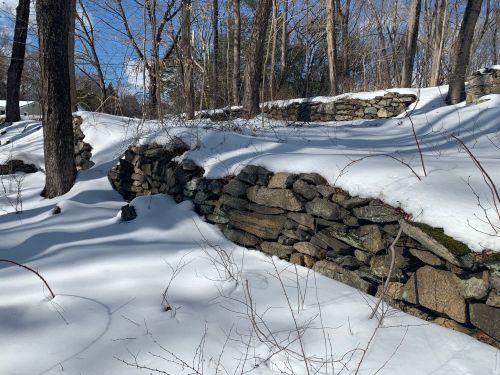 Snow-covered landscape featuring stone walls and trees under a clear blue sky.