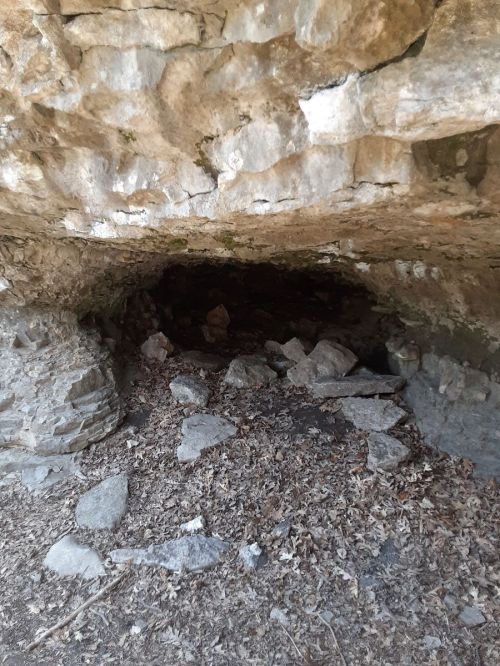 A rocky cave entrance surrounded by scattered stones and dry leaves.