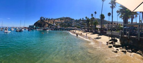 A sunny beach scene with palm trees, boats in the water, and people enjoying the shore on a clear day.