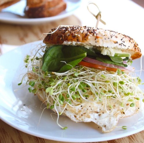 A bagel sandwich filled with sprouts, spinach, tomato, and a fried egg, served on a white plate.
