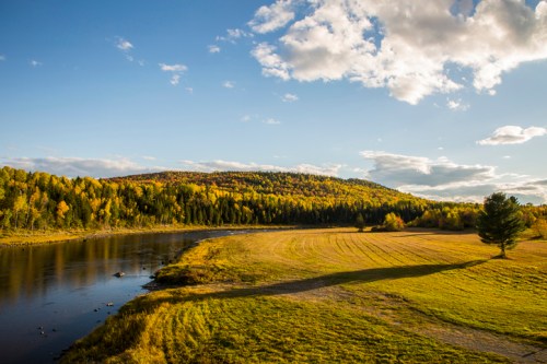 A serene landscape featuring a river, grassy field, and a forested hill under a blue sky with fluffy clouds.