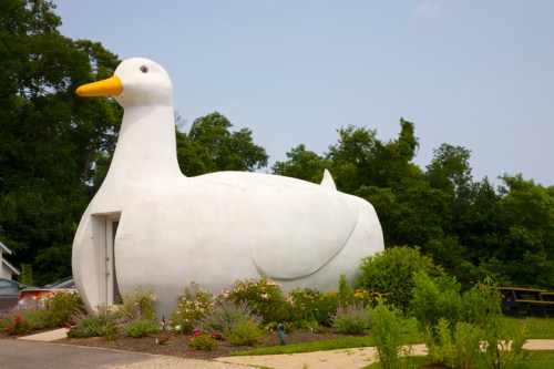 A large, white duck-shaped building surrounded by colorful flowers and greenery under a clear blue sky.