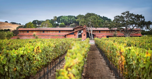 A scenic vineyard with rows of grapevines leading to a rustic brick building surrounded by trees.