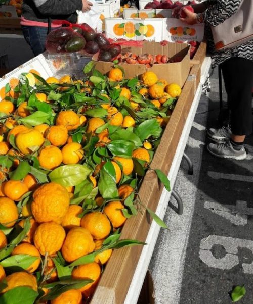 A market scene with a vendor and a customer, surrounded by fresh oranges and avocados on display.