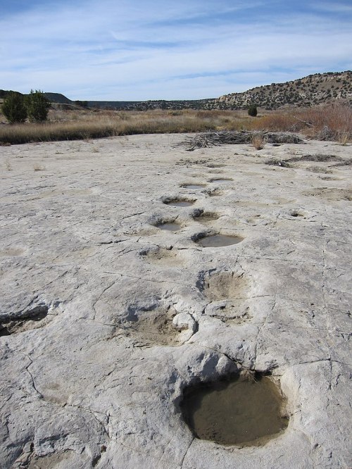 Fossilized dinosaur footprints in dry, cracked earth with a distant landscape under a blue sky.