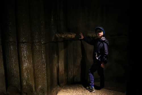A child in a dark, cavernous space, standing against a textured wall, exploring the surroundings.