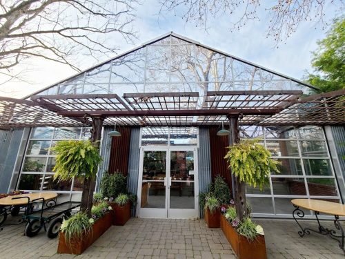 A glass greenhouse with a wooden trellis, surrounded by greenery and potted plants, under a clear sky.